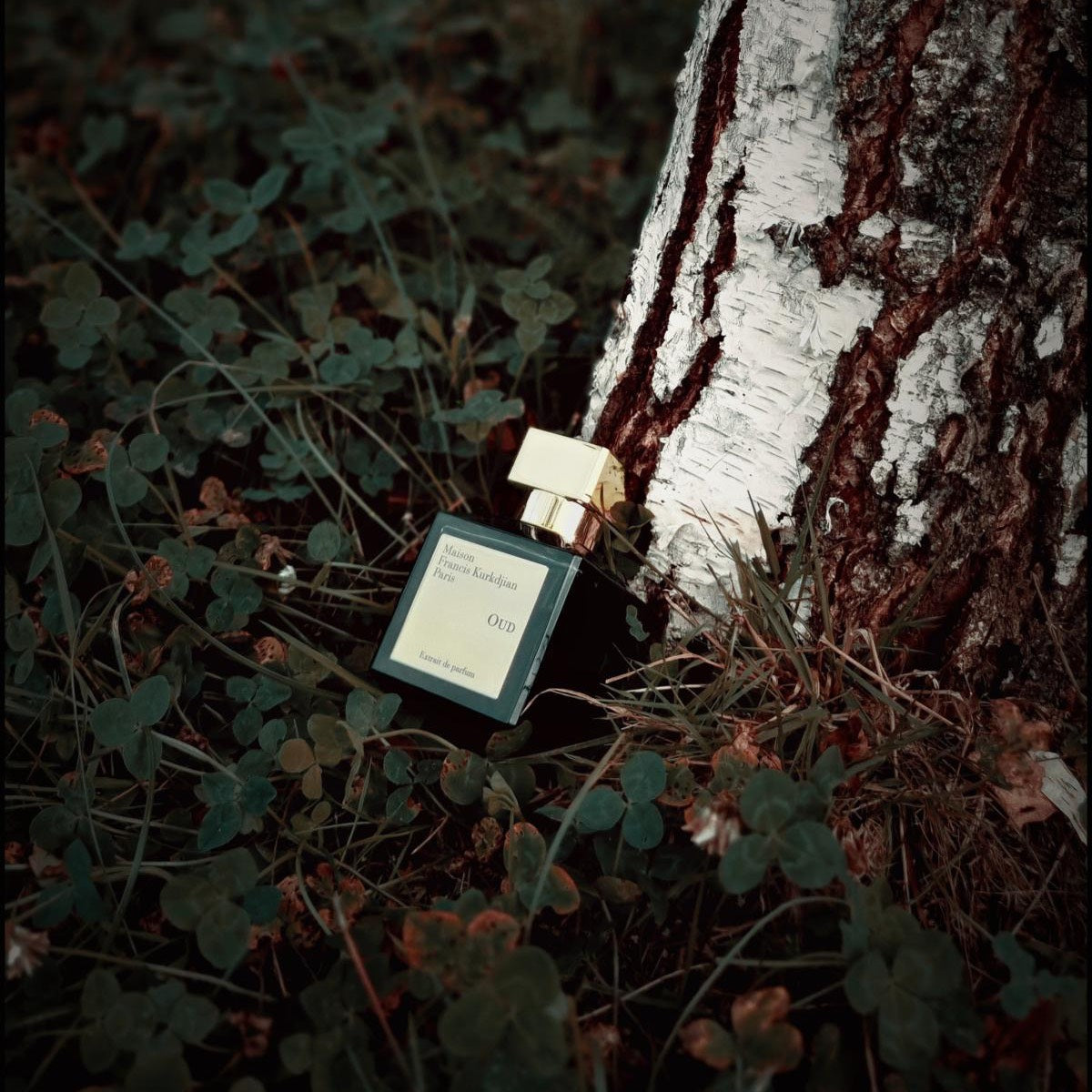 Oud Extrait de Parfum