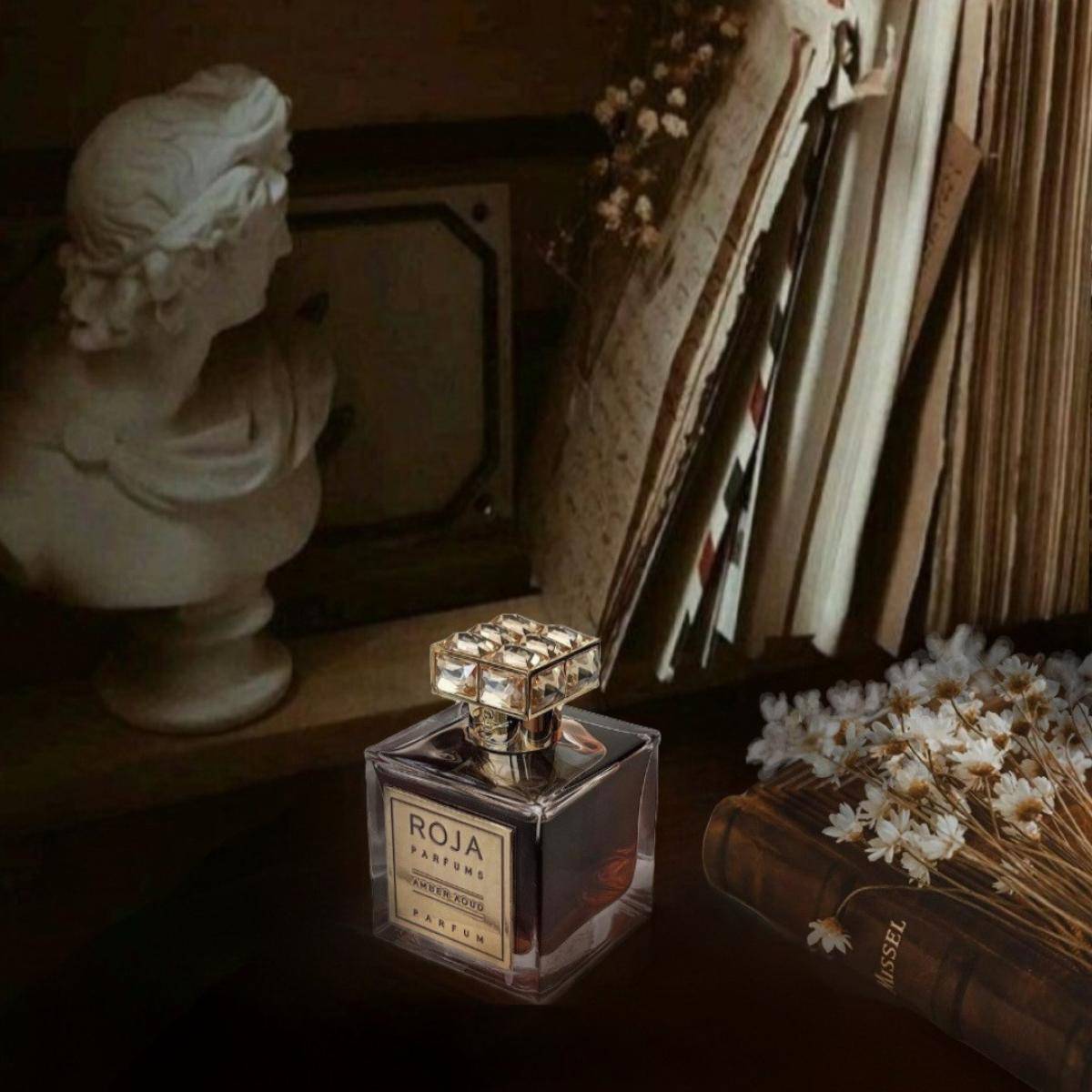 Amber Aoud