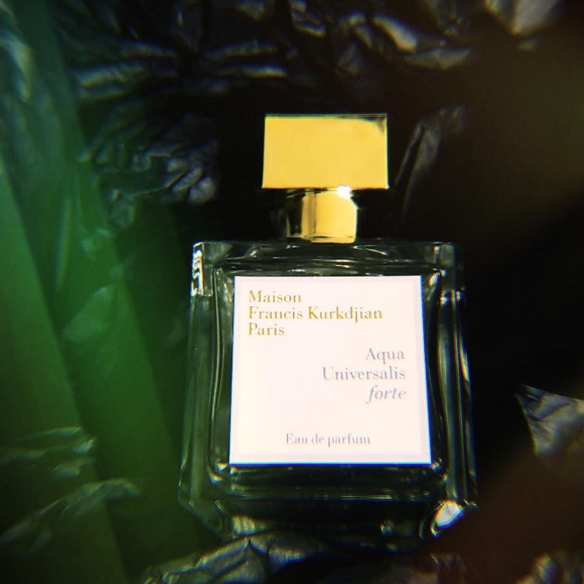 Aqua Universalis Forte