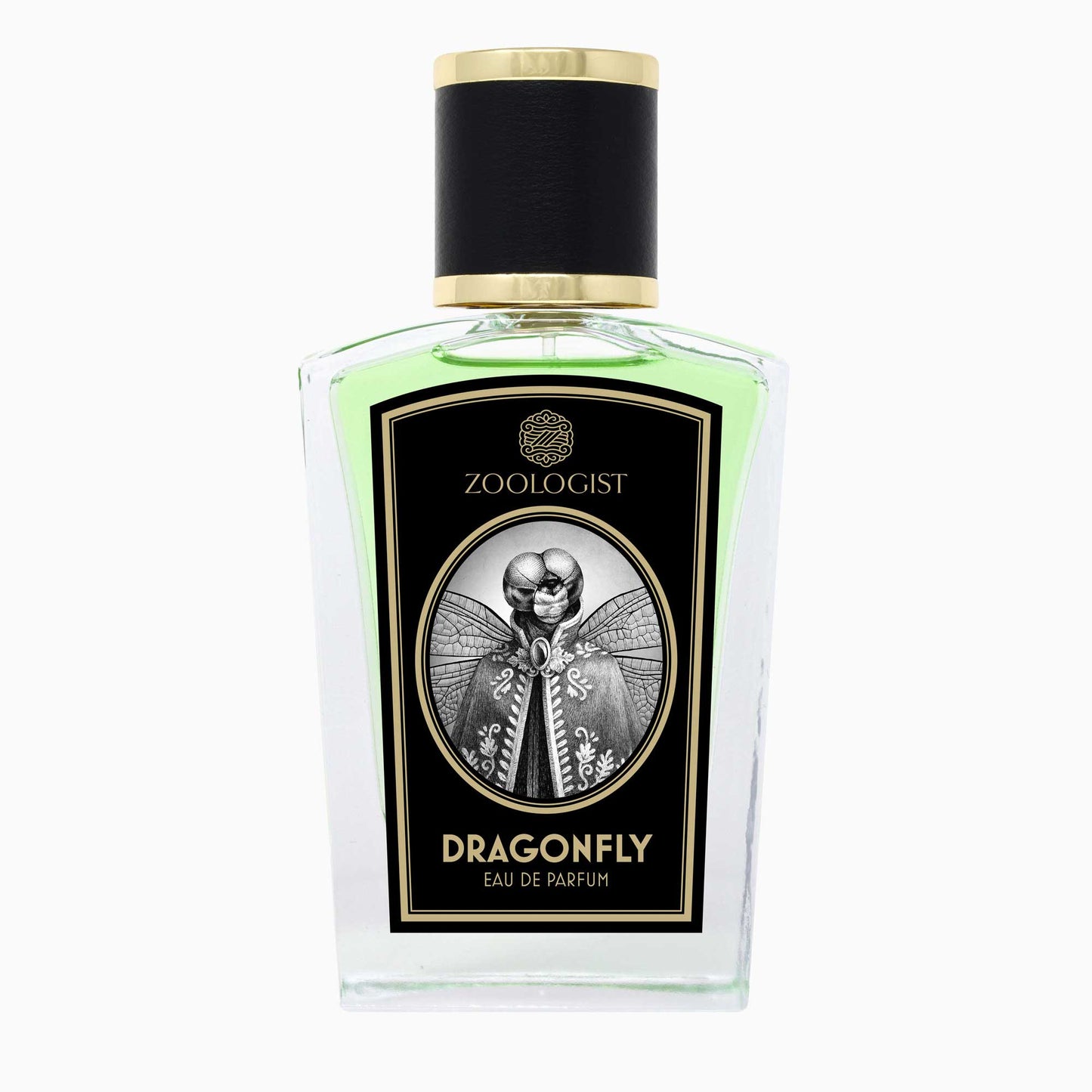 Dragonfly Edition 2021
